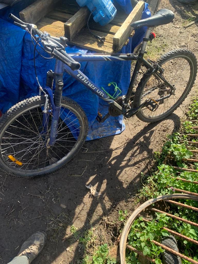 Vélo Minerva, Vélos & Vélomoteurs, Vélos | VTT & Mountainbikes, Enlèvement, Utilisé, Hommes, Autres marques