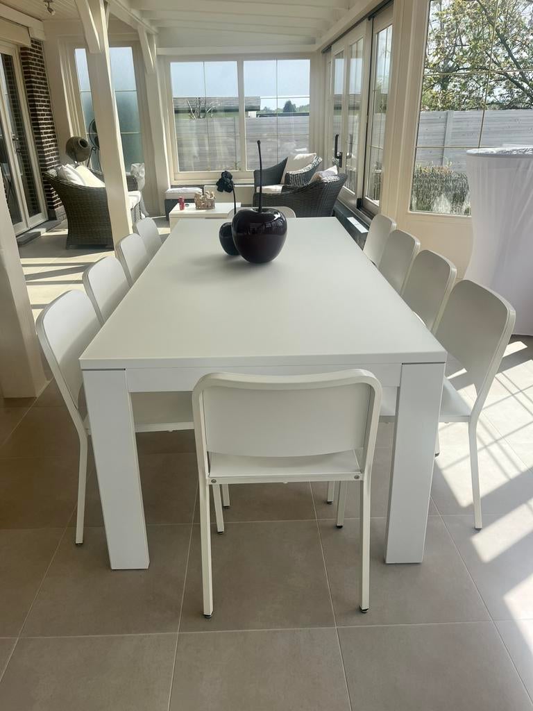 Tafel met 10 stoelen, Ophalen, Zo goed als nieuw