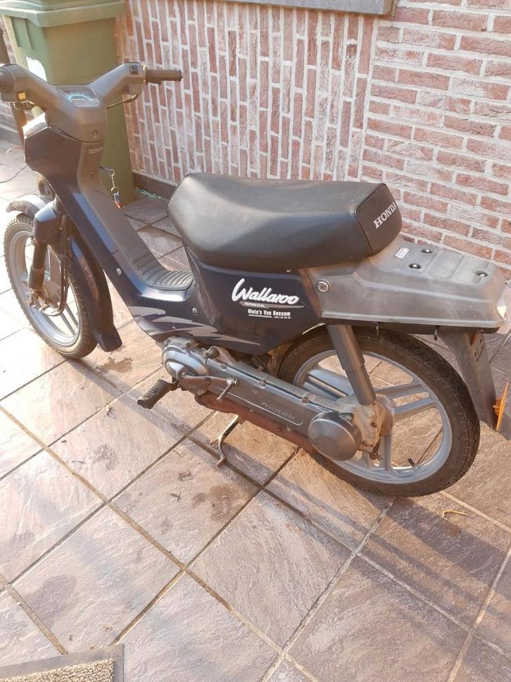Wallaroo honda klasse a, Fietsen en Brommers, Brommers | Oldtimers, Ophalen of Verzenden