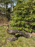 (Tuin)Beeld pauw, tuin, zwembad, vijver 80cm, Ophalen, Nieuw, Kunststof, Dierenbeeld