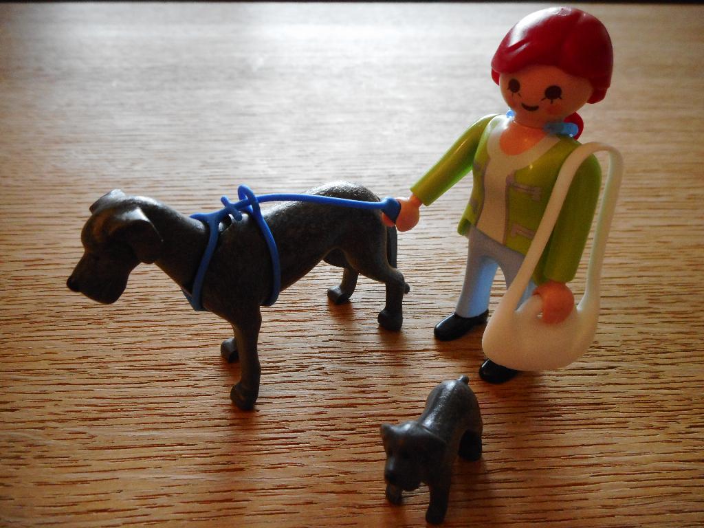 Playmobil 5210 - Duitse dog met puppy, Ophalen of Verzenden, Zo goed als nieuw, Complete set