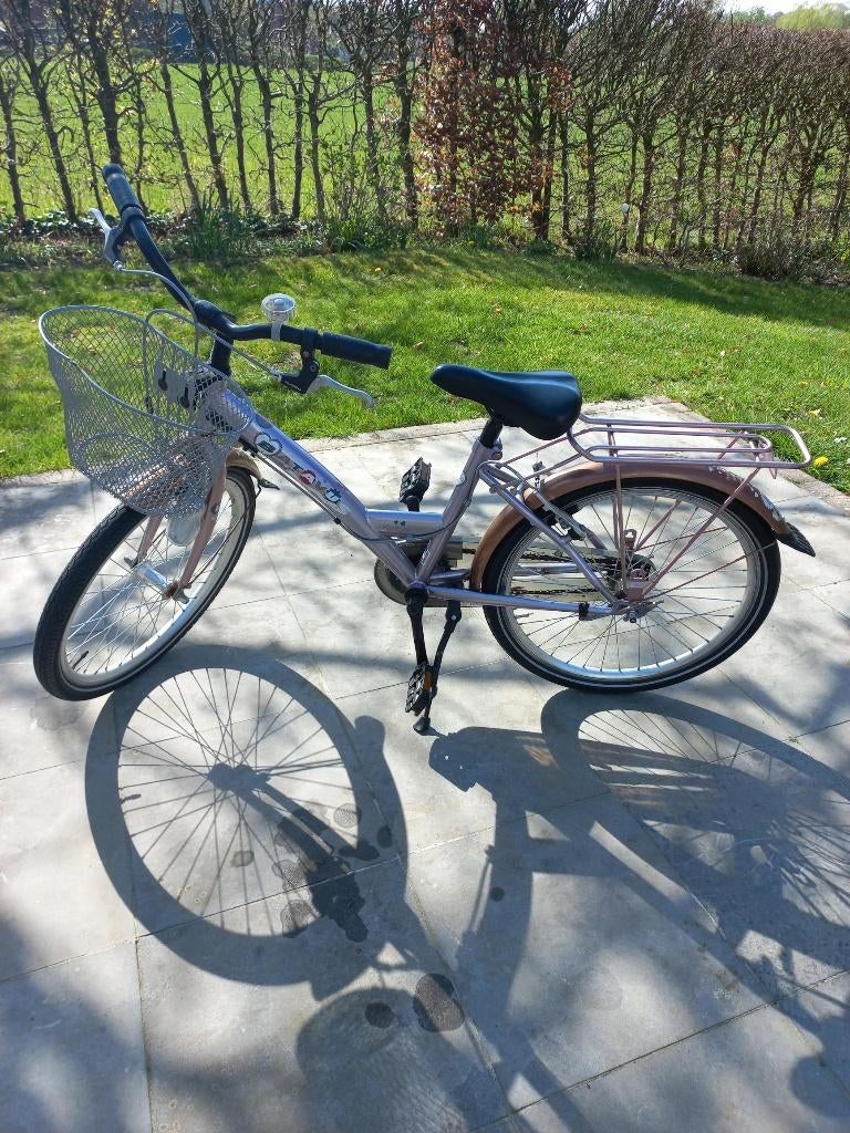 meisjesfiets Batavus 22 inch, Vélos & Vélomoteurs, Vélos | Filles, Batavus, Utilisé, Frein à main, Enlèvement