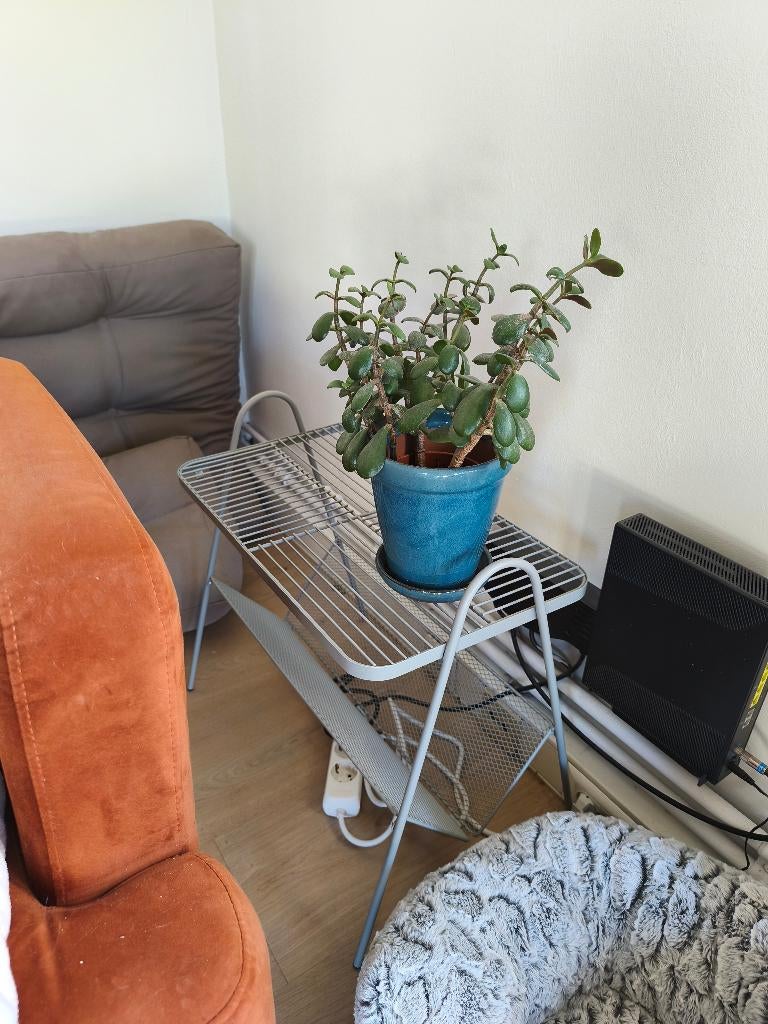 table basse, Neuf, 50 à 100 cm, Enlèvement, Métal