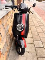 Niu NGT -  70km/u, Elektrisch., Classe B (45 km/h), Enlèvement, Utilisé, Électrique