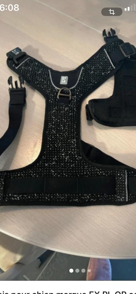 Harnais pour chien, Animaux & Accessoires, Enlèvement ou Envoi, Neuf