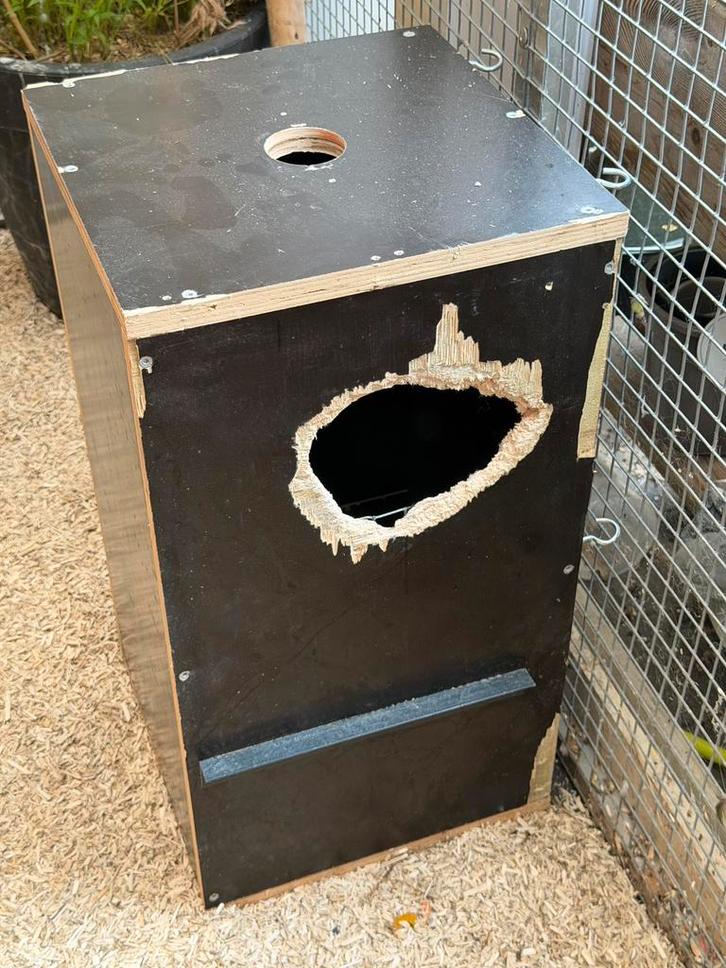 Élevage de perroquets - plex en béton, Animaux & Accessoires, Oiseaux | Accessoires, Utilisé, Accessoires pour cage, Enlèvement