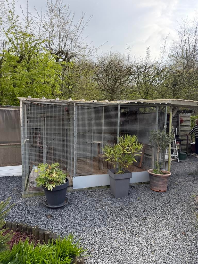 Voleire 3m20 op 2m60, Enlèvement, Utilisé, Aluminium, Volière