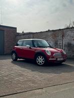 Te koop oftwel ruilen tegen een paard, Dieren en Toebehoren, Ophalen of Verzenden