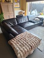 Gratis lederen hoekzetel!, Enlèvement