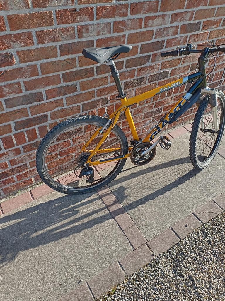 Mountainbike, Fietsen en Brommers, Fietsen | Crossfietsen en BMX, Ophalen, 24 inch of meer, Gebruikt, Staal