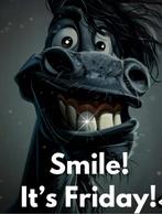 Uitbating paardenpension, Dieren en Toebehoren, Paarden