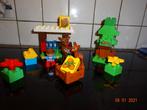 duplo, leuk speelset 'reetjes in het bos', Enlèvement ou Envoi, Duplo