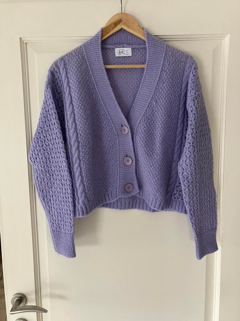 Gilet Heart Mind, Ophalen of Verzenden, Zo goed als nieuw, Maat 36 (S)