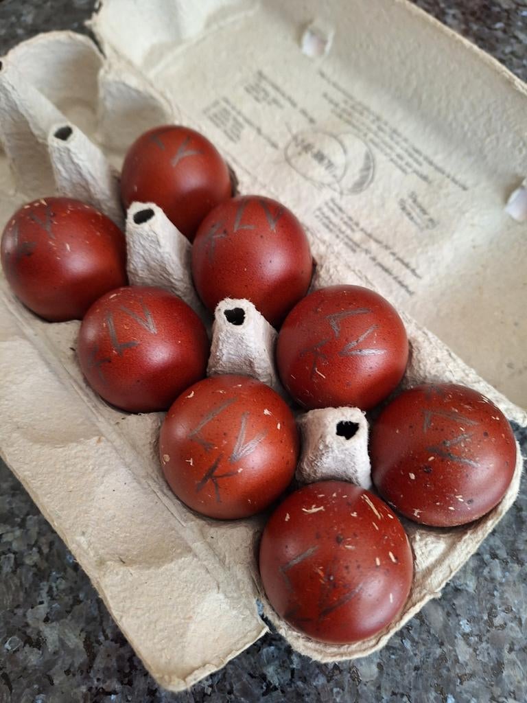 Broedeieren van marans zwart koperhals