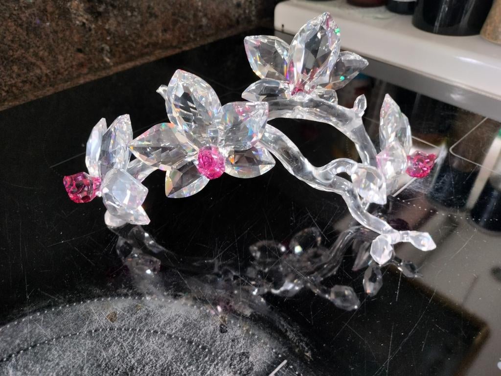 Réservoir à orchidées Swarovski #864443, Enlèvement