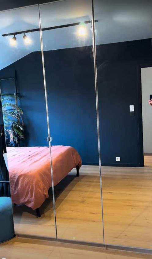 IKEA pax spiegeldeuren 236x50, Enlèvement, Utilisé, 50 à 100 cm, 200 cm ou plus