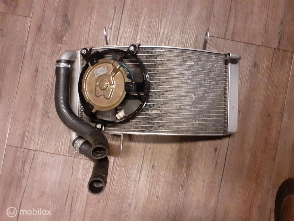 Radiateur origineel ventilator radiator 748 916, Motoren, Onderdelen | Ducati, Gebruikt, Factorystore.service@ducati.com, Ophalen of Verzenden