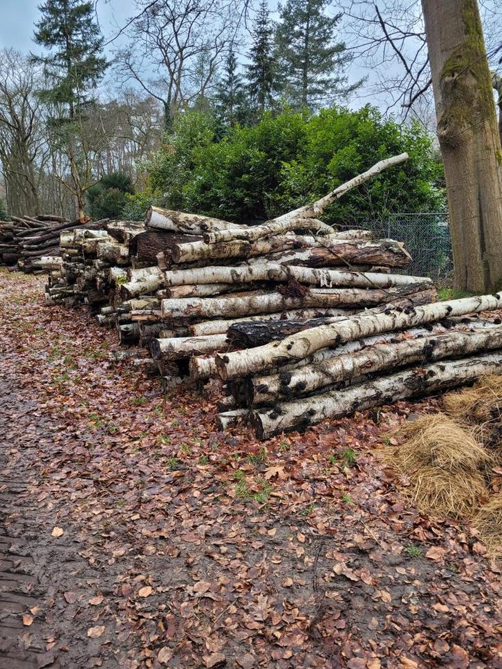 Berk op stam hout kachel, Tuin en Terras, Brandhout, Ophalen