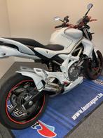 Suzuki SFV 650 Gladius bj. 2009 ref. LS 2649, Naked bike, 650 cc, Bedrijf, 2 cilinders