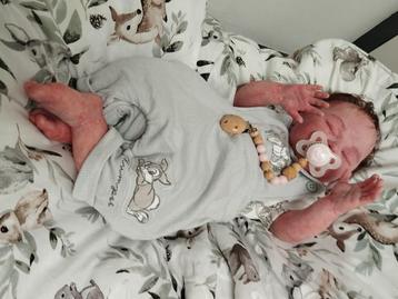 silicone reborn baby met armaturen 55cm *promo 800€* beschikbaar voor biedingen
