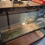 aquarium te koop, Ophalen, Gebruikt, Leeg aquarium