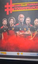 Paninistickers caŕrefour 2016, Ophalen of Verzenden, Zo goed als nieuw