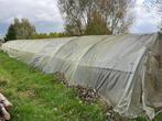 Structure serre tunnel professionnelle 50 M x 7 M (350 M²), Gebruikt, Folie, Kweekkas, Ophalen