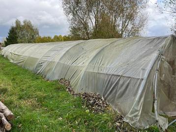 Structure serre tunnel professionnelle 50 M x 7 M (350 M²) beschikbaar voor biedingen