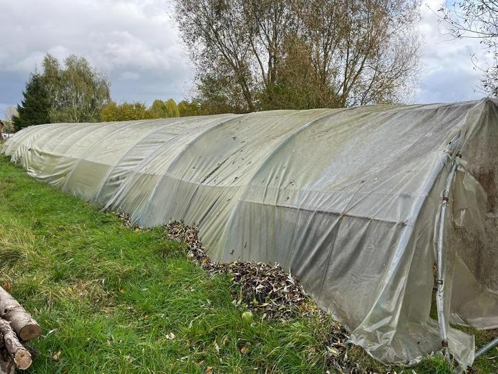Structure serre tunnel professionnelle 50 M x 7 M (350 M²), Tuin en Terras, Kassen, Gebruikt, Kweekkas, Staal, Folie, Ophalen
