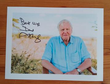 Gesigneerde foto van David Attenborough.  beschikbaar voor biedingen