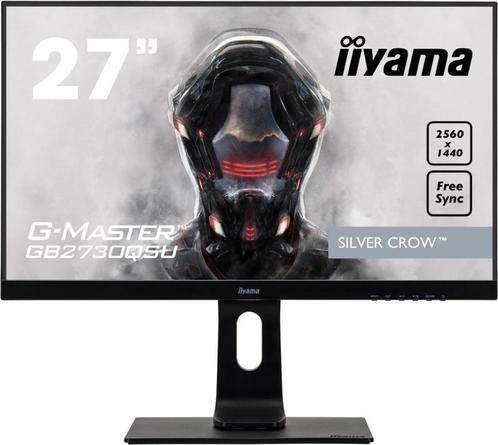 Iiyama Silver Crow - 27", Computers en Software, Monitoren, Gebruikt, 61 t/m 100 Hz, DisplayPort, DVI, HDMI, Gaming, Hoofdtelefoonaansluiting