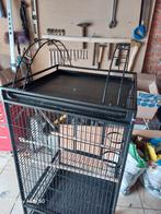 Vogelkooi, Ophalen, Zo goed als nieuw, Metaal, Vogelkooi