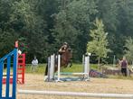 Ponyruiter gezocht, Dieren en Toebehoren, Paarden, M