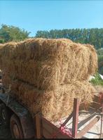 Grote botten hooi te koop, Dieren en Toebehoren, Ophalen of Verzenden