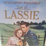 Son of lassie 1945 dvd krasvrij 1eu, Comme neuf, Action et Aventure, 1940 à 1960, À partir de 6 ans