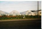 serre, Zakelijke goederen, Landbouw | Aardappelen, Groenten, Fruit en Vlees, Ophalen of Verzenden