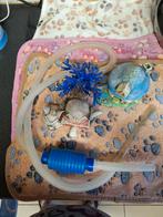 Aquarium, Dieren en Toebehoren, Ophalen of Verzenden