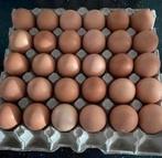 Verse eieren te koop