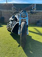 Harley davidson v rod muscle vrcf !!, Motoren, Motoren | Harley-Davidson, Particulier, 1250 cc