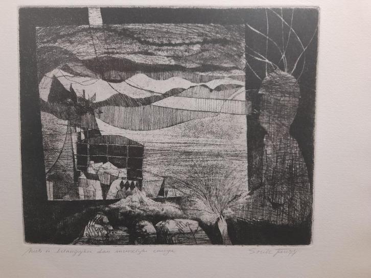 ets, modern, gesign. Jan Smitz, Antiek en Kunst, Kunst | Etsen en Gravures, Ophalen