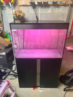 Aquarium ciano, Ophalen, Gebruikt, Verlichting of Verwarming