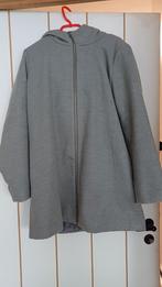 Vila clothes dames winter jas Maat xl, Kleding | Dames, Jassen | Zomer, Ophalen of Verzenden, Maat 46/48 (XL) of groter, Grijs
