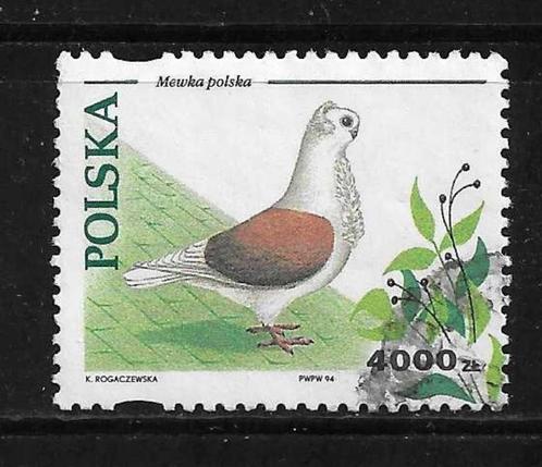 Polen - 1994 - Afgestempeld - Lot Nr. 411 - Duif, Postzegels en Munten, Postzegels | Thematische zegels, Gestempeld, Dier of Natuur