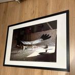 Mooie affiche “de raaf” Panamarenko, Antiek en Kunst, Ophalen of Verzenden