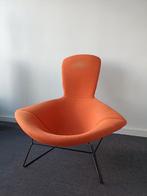 Loungestoel Bertoia Bird 1952 Knoll