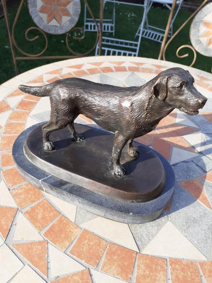 PRACHTIGE BRONZEN LABRADOR OP MARMEREN VOET, Antiek en Kunst, Antiek | Brons en Koper, Brons, Ophalen of Verzenden
