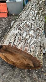 Boomstam notelaar, okkernoot, Tuin en Terras, Brandhout, Minder dan 3 m³, Ophalen, Overige houtsoorten, Stammen