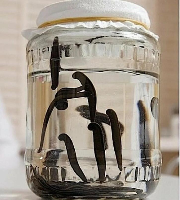 Medicinale bloedzuigers, Diensten en Vakmensen, Alternatieve geneeskunde en Spiritualiteit