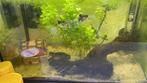Kleine visbak aquarium incl, Dieren en Toebehoren, Vissen | Aquariumvissen, Vis, Zoetwatervis, Schoolvis