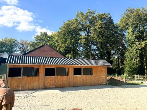 Kort verblijf Zutendaal, Dieren en Toebehoren, Stalling en Weidegang, 2 of 3 paarden of pony's